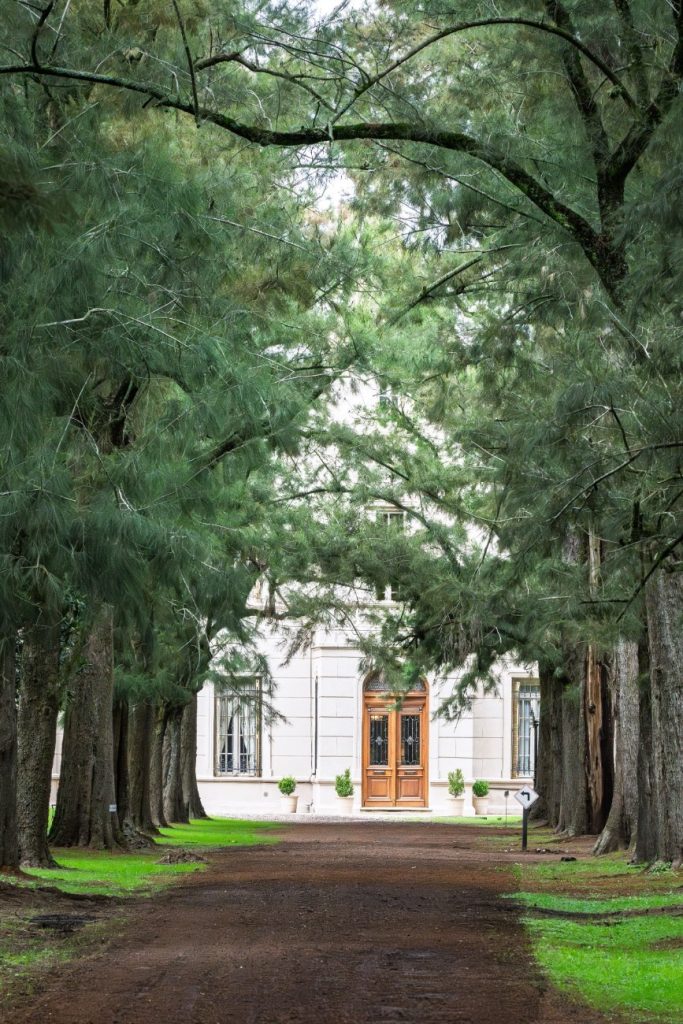 Every remarkable estate begins with arrival. The approach matters