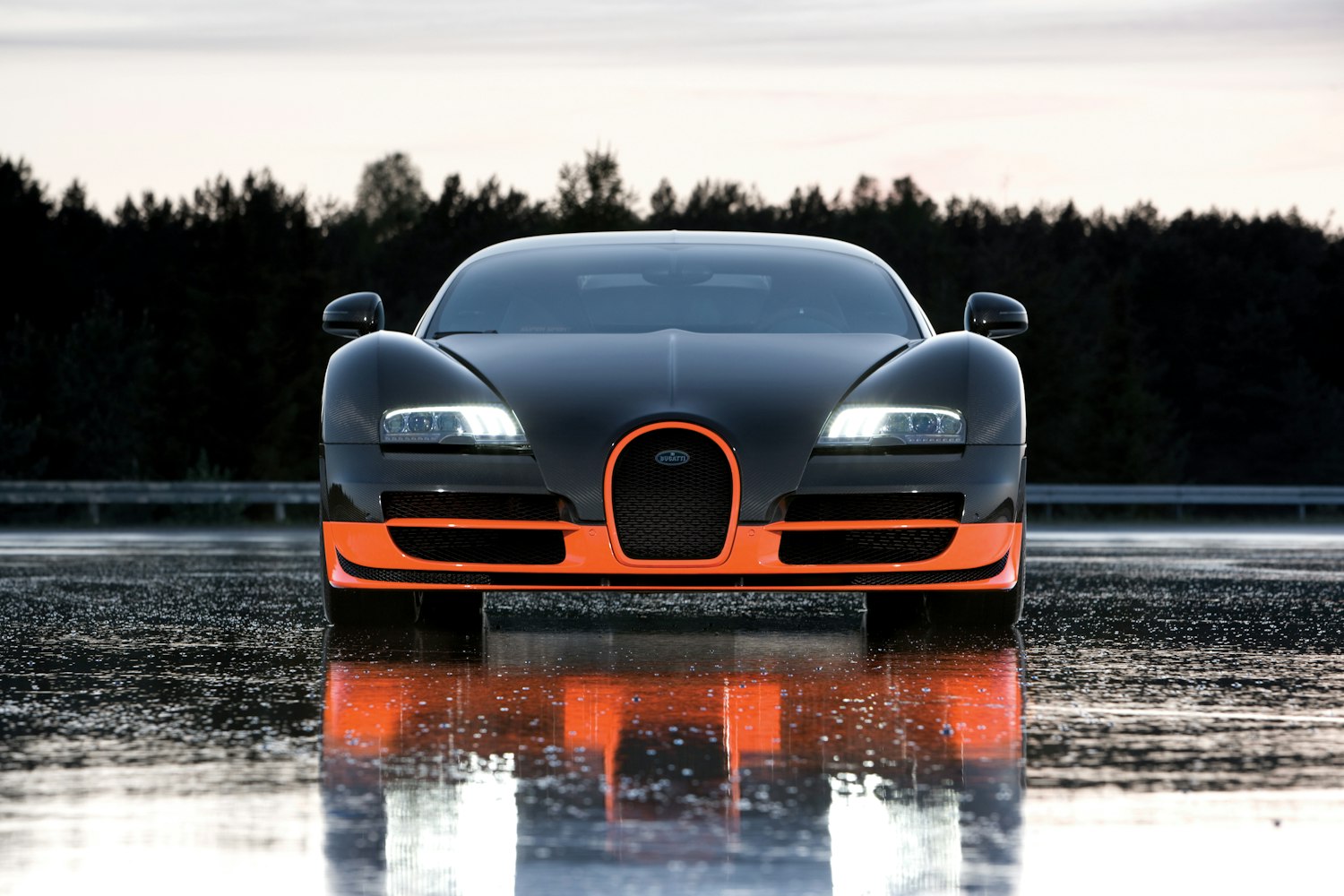 Bugatti occupies a particularly important place in any collection built around outrageous performance