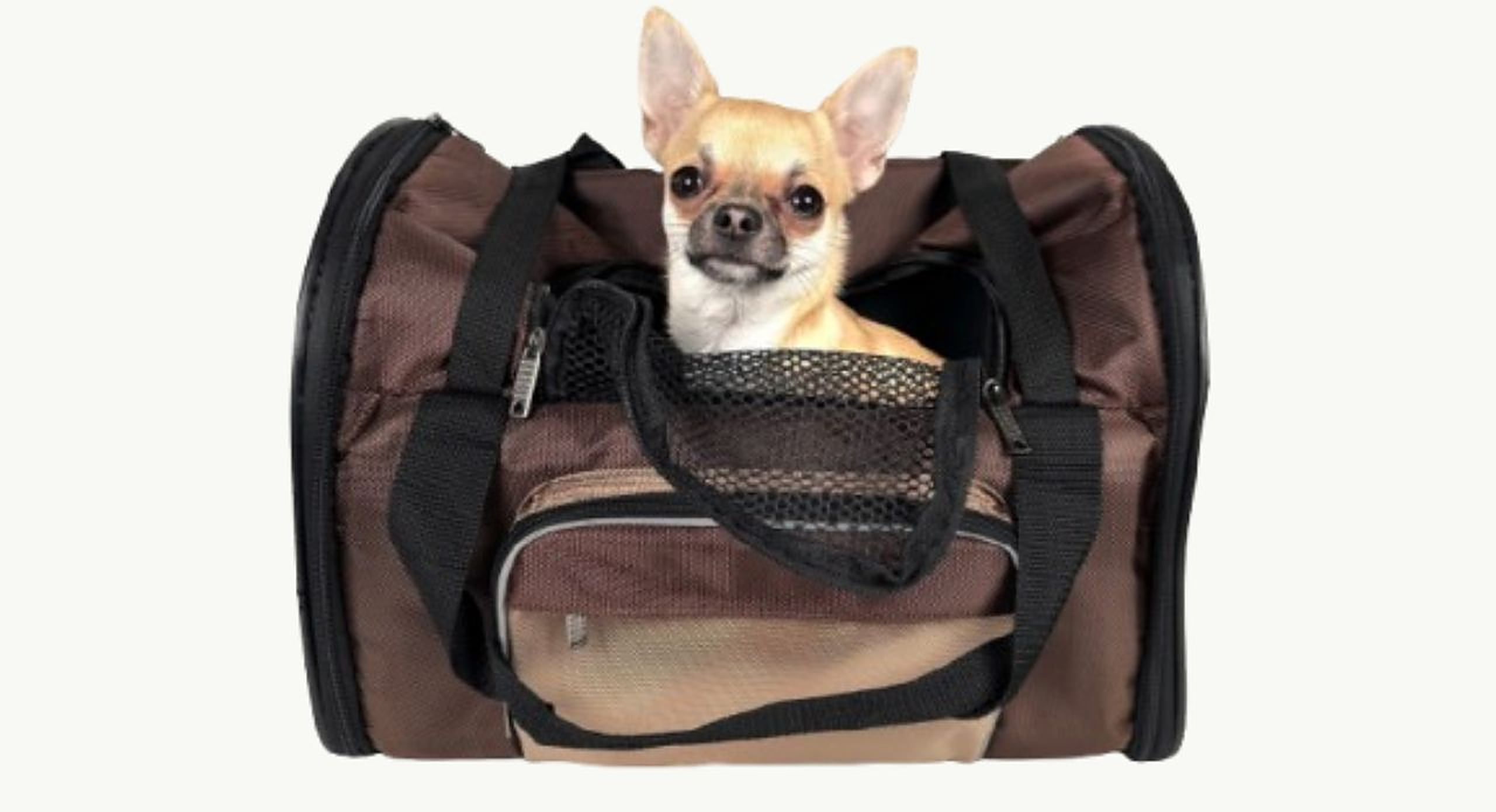 The New Luxury Shopper Has Four Legs: Designer Brands Woo Pet Owners