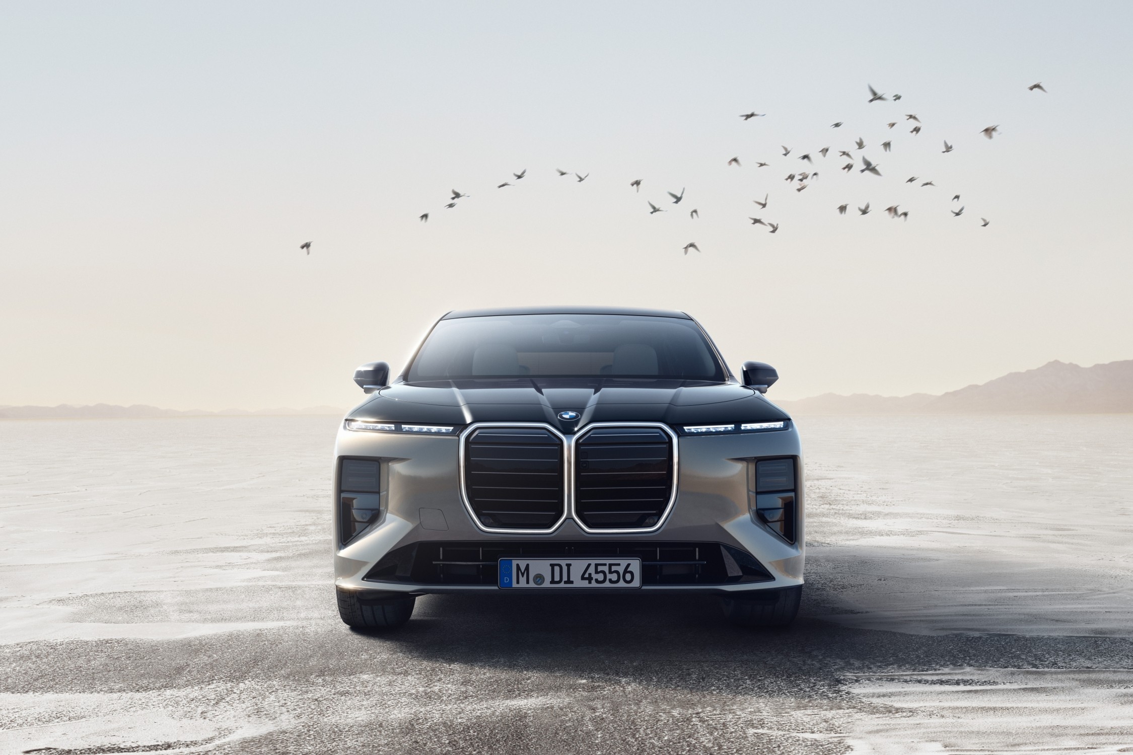BMW has taken the familiar ingredients of the 7 Series and given them a considerably more futuristic recip