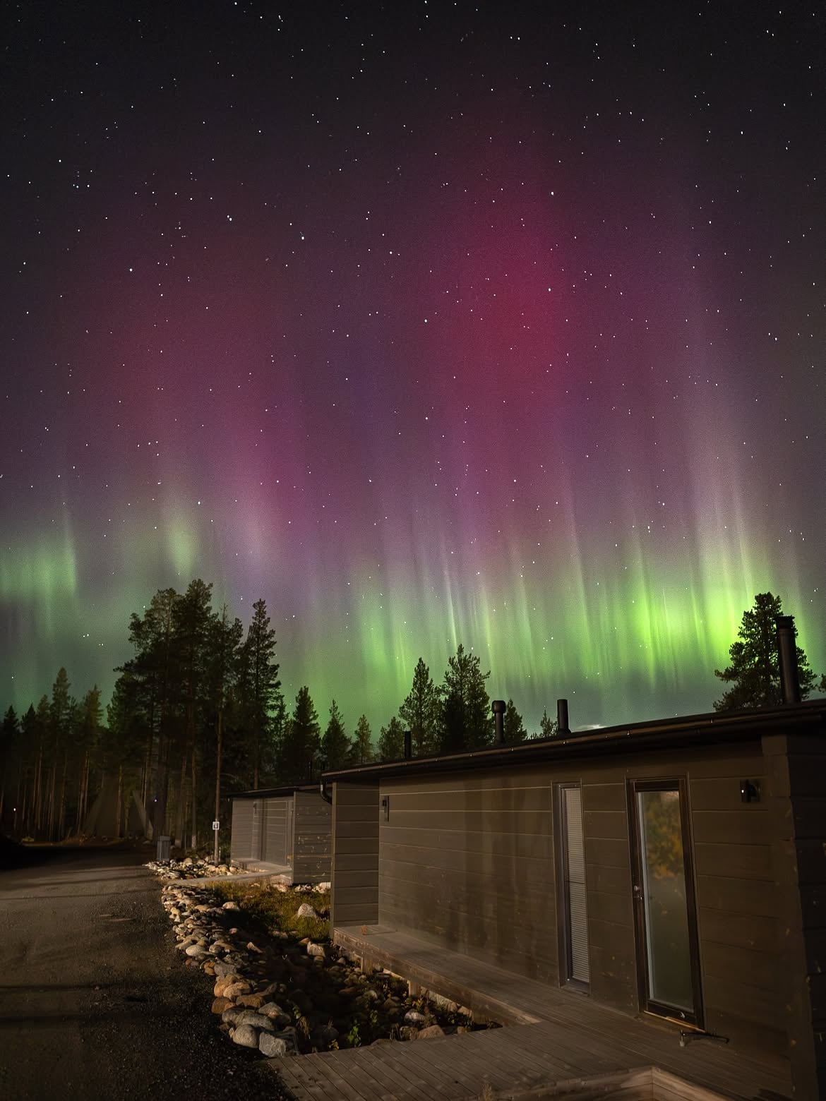 Set among snow-laden pines just outside Rovaniemi, within Finnish Lapland, the Arctic TreeHouse Hotel