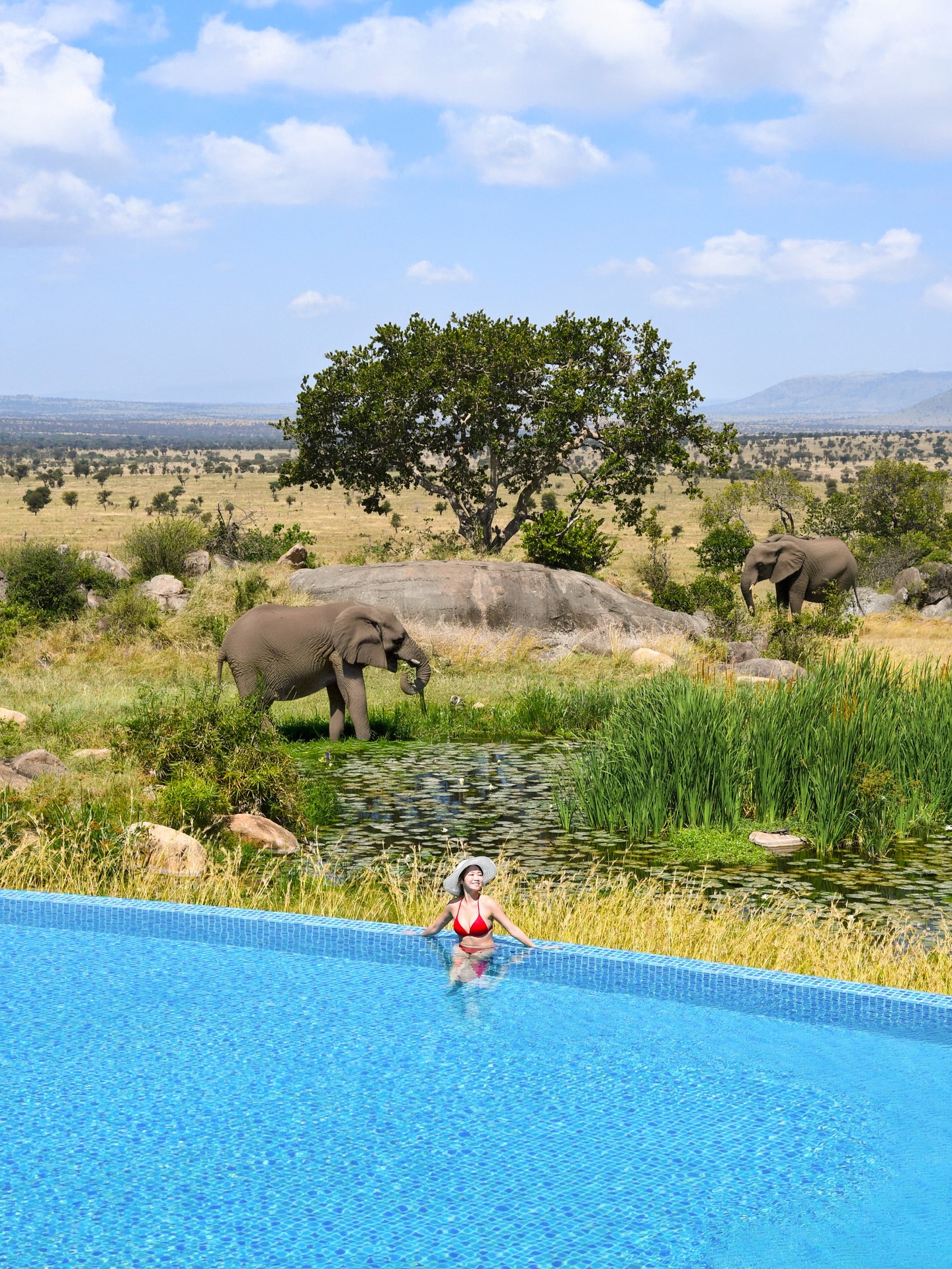 Imagine enjoying a leisurely swim while watching elephants gather around a watering hole just beyond the edge